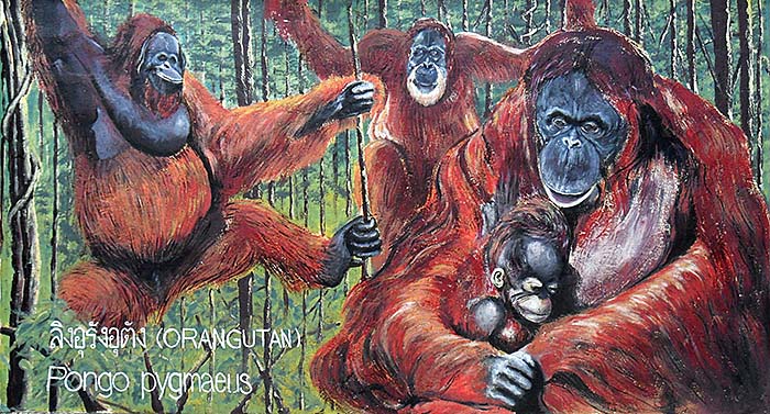 'Borneo Orangutans | Painting at the Outer Walls of Dusit Zoo | Bangkok' by Asienreisender